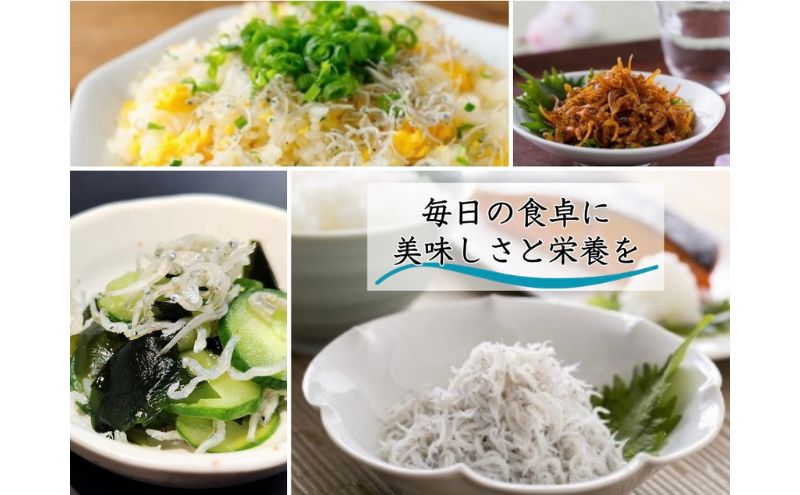 ほんまにうまい 明石前浜セット 魚貝類 タコ ちりめん 