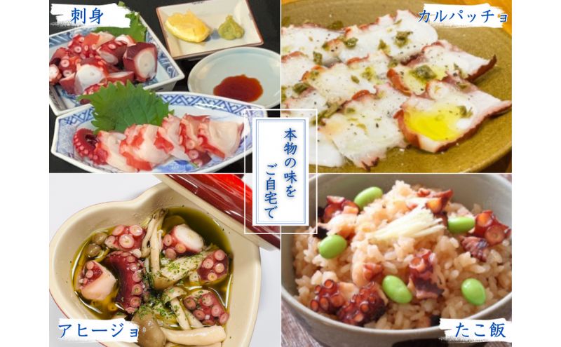 ほんまにうまい 明石前浜セット 魚貝類 タコ ちりめん 
