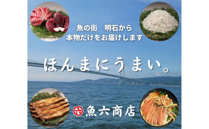 ほんまにうまい 明石前浜セット 魚貝類 タコ ちりめん 