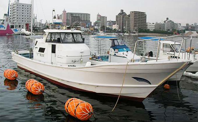 リタックル 釣り船 乗船券 釣り チケット 体験 魚釣り 船釣り 明石海峡 朝便 昼便 夜便 マダイ メバル ハマチ タコ 太刀魚 アオリイカ ガシラ 海のレジャー フィッシング