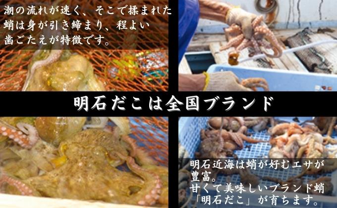 譏守浹逕」辣ョ陋ク 繝サ 貉ッ縺縺 繝サ 蟷イ縺縺 繧サ繝繝 鬲夊イ晞。 繧ソ繧ウ 蜉蟾・鬟溷刀 蟷イ迚ゥ