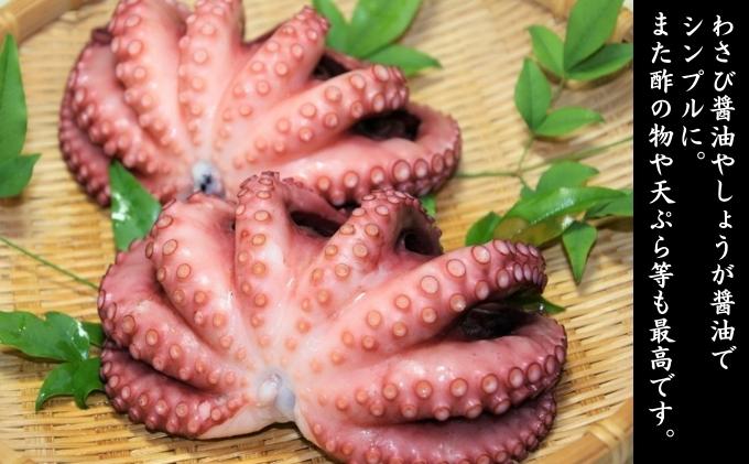 譏守浹逕」辣ョ陋ク 繝サ 貉ッ縺縺 繝サ 蟷イ縺縺 繧サ繝繝 鬲夊イ晞。 繧ソ繧ウ 蜉蟾・鬟溷刀 蟷イ迚ゥ