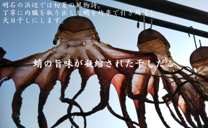 譏守浹逕」辣ョ陋ク 繝サ 貉ッ縺縺 繝サ 蟷イ縺縺 繧サ繝繝 鬲夊イ晞。 繧ソ繧ウ 蜉蟾・鬟溷刀 蟷イ迚ゥ
