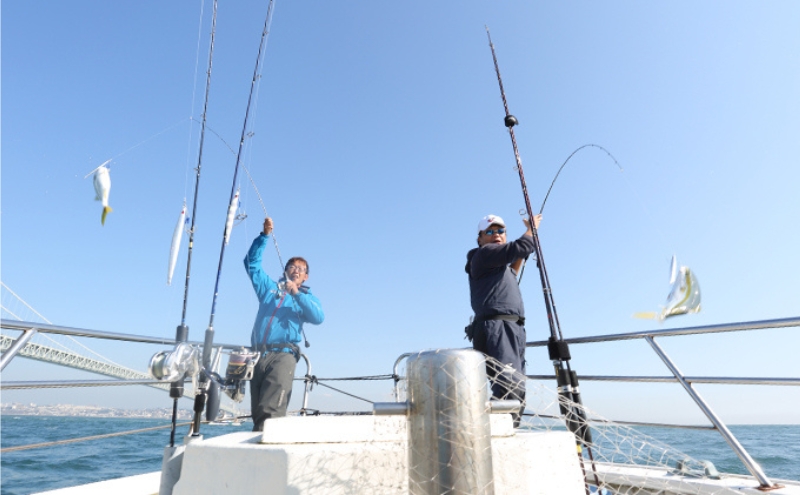 釣り船魚英 乗船券3枚 体験チケット 体験 スポーツ アウトドア 