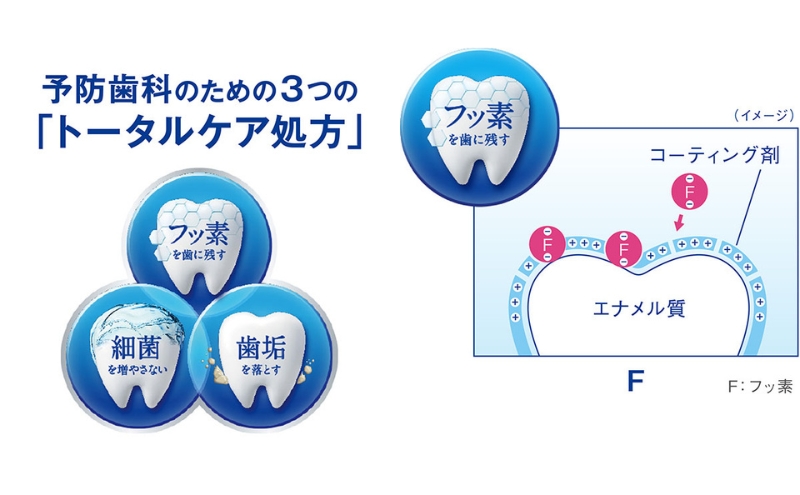 ライオン クリニカオーラルケア セット各6本 [ LION  日用品 歯磨き粉 歯磨き 口腔ケア ]