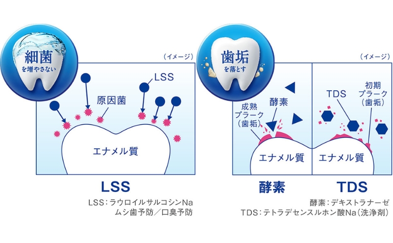 ライオン クリニカオーラルケア セット各6本 [ LION  日用品 歯磨き粉 歯磨き 口腔ケア ]