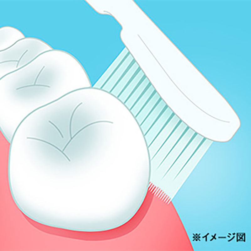 システマハブラシ　コンパクト　3列スリム　ふつう (10本)　ハブラシ 歯ブラシ 歯磨き はみがき 歯 システマ スリム 超極細毛 歯周ポケット 歯周病 口腔 口腔ケア 日用品 兵庫 兵庫県 明石 明石市