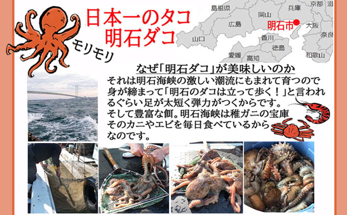 明石ダコのやわらか煮6個と明石蛸のたこ飯の素 タコ 魚貝類 加工食品 惣菜 