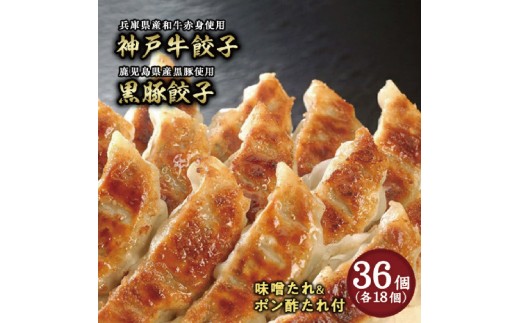 神戸牛餃子・黒豚餃子 各1折セット：熨斗なし