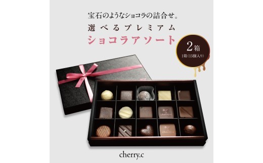 プレミアム ショコラ アソート15個×2【cherry.c】お菓子 洋菓子 贈り物 ギフト 手土産 詰め合わせ チョコレート チョコ ショコラ スイーツ ベルギー ビター バレンタイン ホワイトデー  [0024-a005_A]
