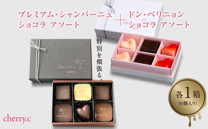 プレミアム ショコラ アソート15個【cherry.c】お菓子 洋菓子 贈り物 ギフト 手土産 詰め合わせ チョコレート チョコ ショコラ スイーツ ベルギー ビター バレンタイン ホワイトデー  [024-a002_A]
