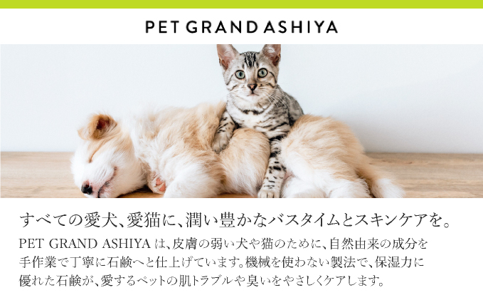 arfoamコンプリートセット｜肉球洗浄 肉球 耳洗浄 耳掃除 ケア 犬の ケア用品 ペット 犬 猫 ペット用 犬用 愛犬用 洗浄 国内製造 泡 泡シャンプー お散歩後 舐めても安心 日本製 国産