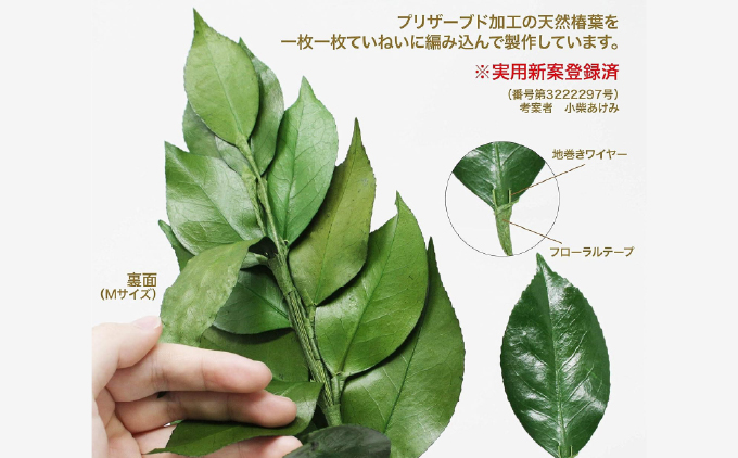 プリザーブド 榊 Sサイズ（1対 2束）【天然 国産 サカキ 神棚 神具 祭壇 玉串 神事 仏壇 仏花 お供え お墓 お盆 お彼岸 新盆 祭 水かえ不要 枯れない プリザーブドフラワー】