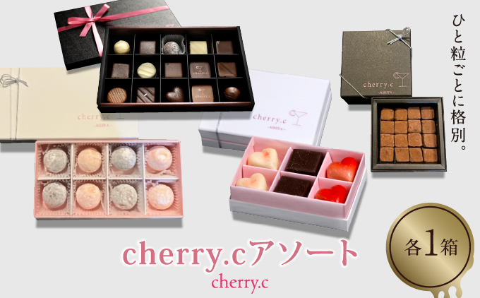 cherry.c ショコラ アソート【024-a011】 [ チョコレート スイーツ ギフト バレンタイン ギフト 生チョコ トリュフ ショコラ デザート おやつ 詰め合わせ 高級 芦屋市 ]