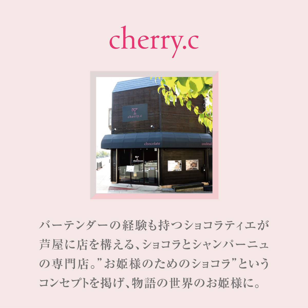 プレミアム ショコラ アソート15個×3【cherry.c】お菓子 洋菓子 贈り物 ギフト 手土産 詰め合わせ チョコレート チョコ ショコラ スイーツ ベルギー ビター バレンタイン ホワイトデー  [024-a006_A]