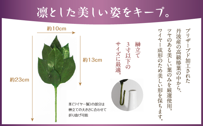 プリザーブド 榊 SSサイズ（1対 2束）【天然 国産 サカキ 神棚 神具 祭壇 玉串 神事 仏壇 仏花 お供え お墓 お盆 お彼岸 新盆 祭 水かえ不要 枯れない プリザーブドフラワー】