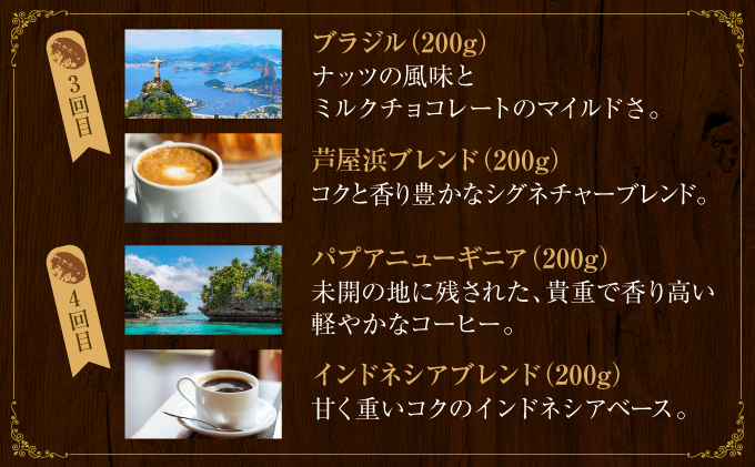 【6か月定期便】世界流通量上位5％スペシャルティコーヒー【豆】