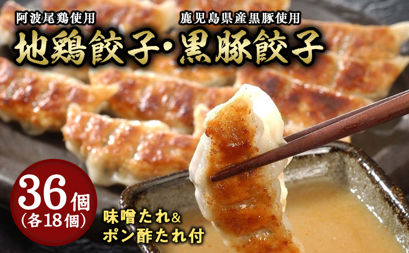 黒豚餃子・地鶏餃子 各1折セット：熨斗なし