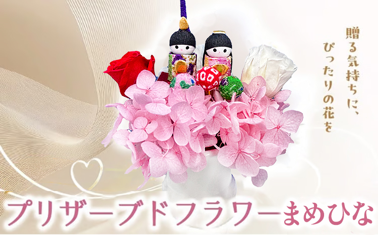 ããªã¶ãŒãããã©ã¯ãŒ ãŸãã²ãª ãè± ãã©ã¯ãŒ å€©ç¶ åœç£ ã®ãã ãã¬ãŒã³ã ã²ãªç¥ã ã²ãªãŸã€ããéæ§ ãã²ãªã㟠ç¯å¥ ã²ãªé£Ÿã èšå¿µæ¥ æ°ŽããäžèŠ æ¯ããªã ããªã¶ãŒãããã©ã¯ãŒã