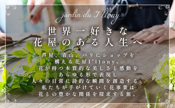 季節の花束《Soft》直径約28cm 【花 お花 フラワー 花束 贈り物 贈答ギフト プレゼント 記念日 兵庫県 芦屋市 アイロニー illony i'llony あいろにー】