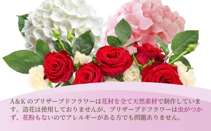 ããªã¶ãŒãããã©ã¯ãŒ ãŸãã²ãª ãè± ãã©ã¯ãŒ å€©ç¶ åœç£ ã®ãã ãã¬ãŒã³ã ã²ãªç¥ã ã²ãªãŸã€ããéæ§ ãã²ãªã㟠ç¯å¥ ã²ãªé£Ÿã èšå¿µæ¥ æ°ŽããäžèŠ æ¯ããªã ããªã¶ãŒãããã©ã¯ãŒã