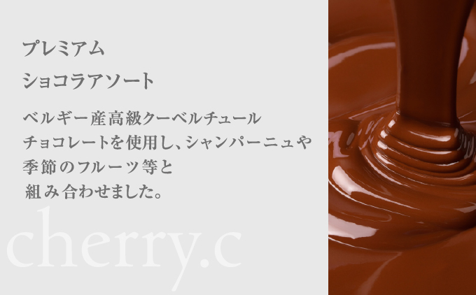 cherry.ｃ ショコラ 詰め合わせB[ チョコレート スイーツ ギフト ]