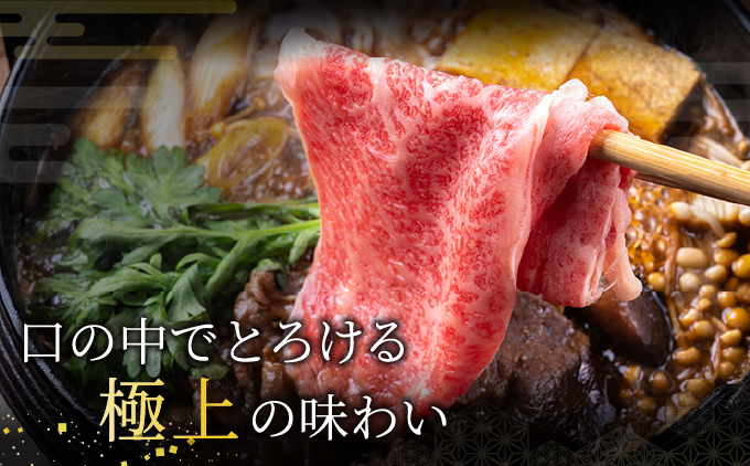 定期便 神戸牛 食べ比べBコース（6回お届け）肉 牛肉 すき焼き しゃぶしゃぶ 焼肉 ステーキ サーロイン モモ スライス 希少部位 定期便 但馬牛 神戸ビーフ 食べ比べ 黒毛和牛 赤身 霜降り 贈答 ギフト お祝い 兵庫県 芦屋市 芦屋 