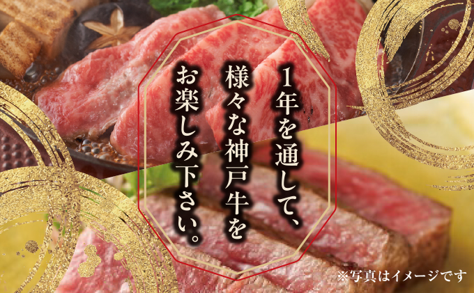  定期便 神戸牛 食べ比べDコース（6回お届け）[ 肉 牛肉 すき焼き しゃぶしゃぶ 焼肉 ステーキ ]