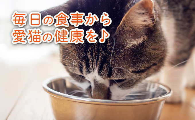 フルオーガニックキャットフード / 500g入 6袋セット｜ペットフード キャットフード 猫用 猫 ごはん 天然素材 小麦粉不使用 グルテンフリー ビタミン 安心 安全 保存料無添加 フルオーガニック オーガニック