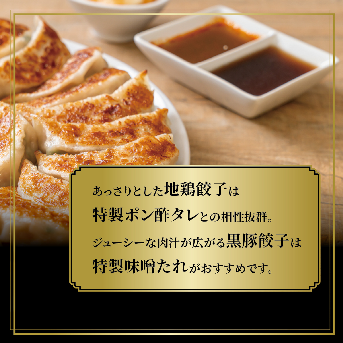 黒豚餃子・地鶏餃子 各1折セット：熨斗なし