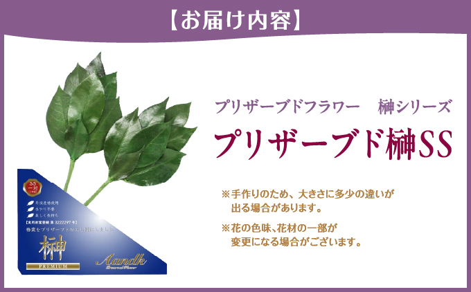 プリザーブド 榊 SSサイズ（1対 2束）【天然 国産 サカキ 神棚 神具 祭壇 玉串 神事 仏壇 仏花 お供え お墓 お盆 お彼岸 新盆 祭 水かえ不要 枯れない プリザーブドフラワー】