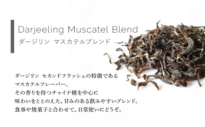 定番人気 ティーバック3種 缶入りギフトセット【Uf-fu ウーフ】紅茶 茶葉 人気 ダージリン マスカテルブレンド アールグレイ アンバー 紅茶セット ストレートティー ミルクティー アイスティー ティータイム スペシャルティー 詰め合わせ 贈り物 ギフト プレゼント 038-a019