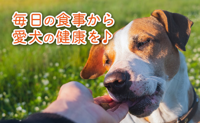 フルオーガニックドッグフード / 500g入 6袋セット｜ペットフード ドッグフード 犬用 愛犬用 ごはん 天然素材 小麦粉不使用 グルテンフリー ビタミン 安心 安全 保存料無添加 フルオーガニック オーガニック