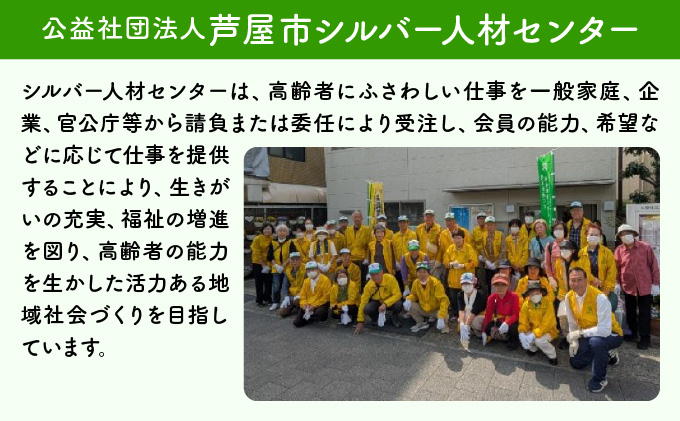 お墓の清掃サービス（清掃、献花、献香）