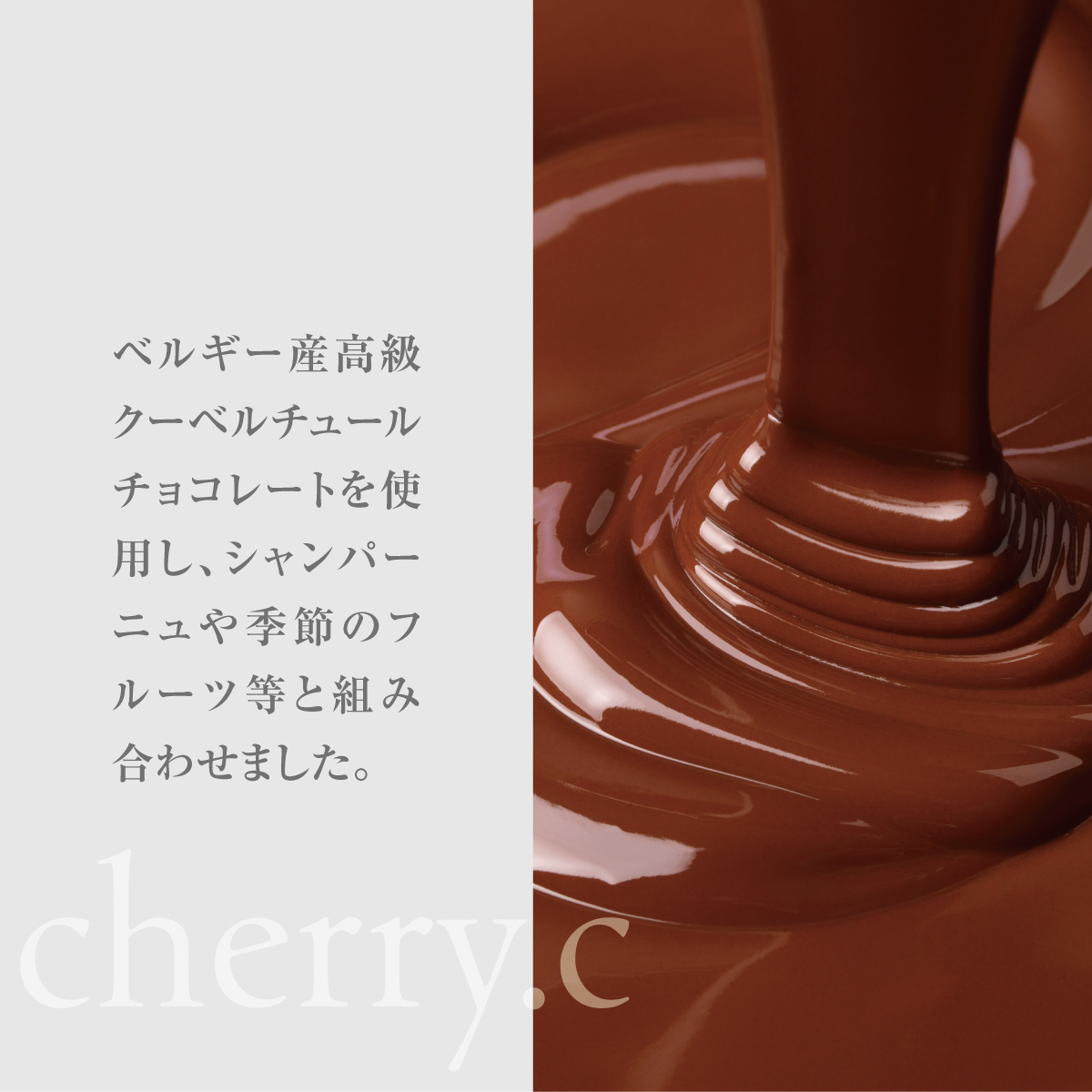 プレミアム ショコラ アソート15個【cherry.c】お菓子 洋菓子 贈り物 ギフト 手土産 詰め合わせ チョコレート チョコ ショコラ スイーツ ベルギー ビター バレンタイン ホワイトデー  [024-a002_A]