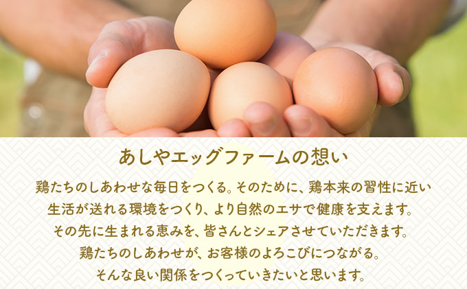 兵庫県芦屋産 放飼い烏骨鶏の有精卵『ラン・デリッチ』 | 6個入 卵 たまご 烏骨鶏 新鮮 産直 卵詰め合わせ 卵セット 高級卵 玉子 放飼い
