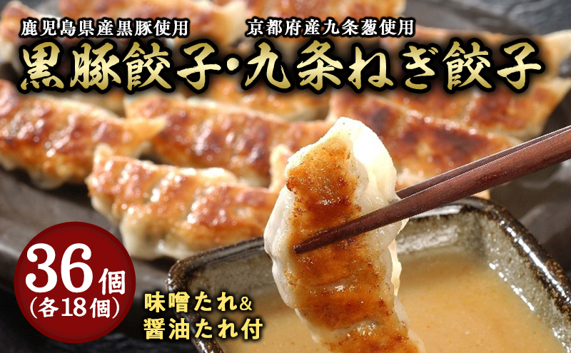 黒豚餃子・九条ねぎ餃子 各1折セット：熨斗 お中元