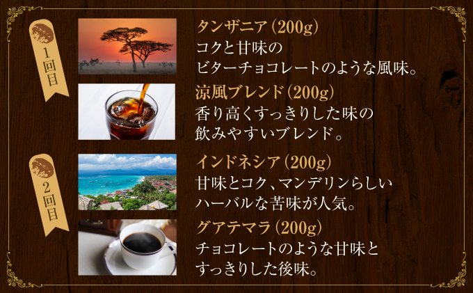 【6か月定期便】世界流通量上位5％スペシャルティコーヒー【豆】