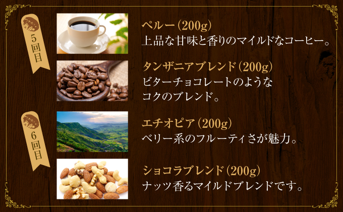 【6か月定期便】世界流通量上位5％スペシャルティコーヒー【豆】