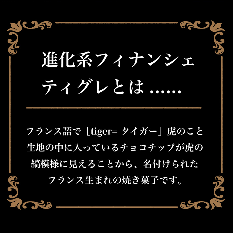 進化系フィナンシェ！ティグレ全12種類詰め合わせセット