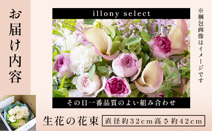 å£ç¯ã®è±æãillony selectãçŽåŸçŽ32cm ãè± ãè± ãã©ã¯ãŒ è±æ èŽãç© èŽçã®ãã ãã¬ãŒã³ã èšå¿µæ¥ å
µåº«ç èŠå±åž ã¢ã€ãã㌠illony i'llony ãããã«ãŒã