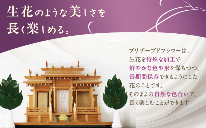 プリザーブド 榊 SSサイズ（1対 2束）【天然 国産 サカキ 神棚 神具 祭壇 玉串 神事 仏壇 仏花 お供え お墓 お盆 お彼岸 新盆 祭 水かえ不要 枯れない プリザーブドフラワー】