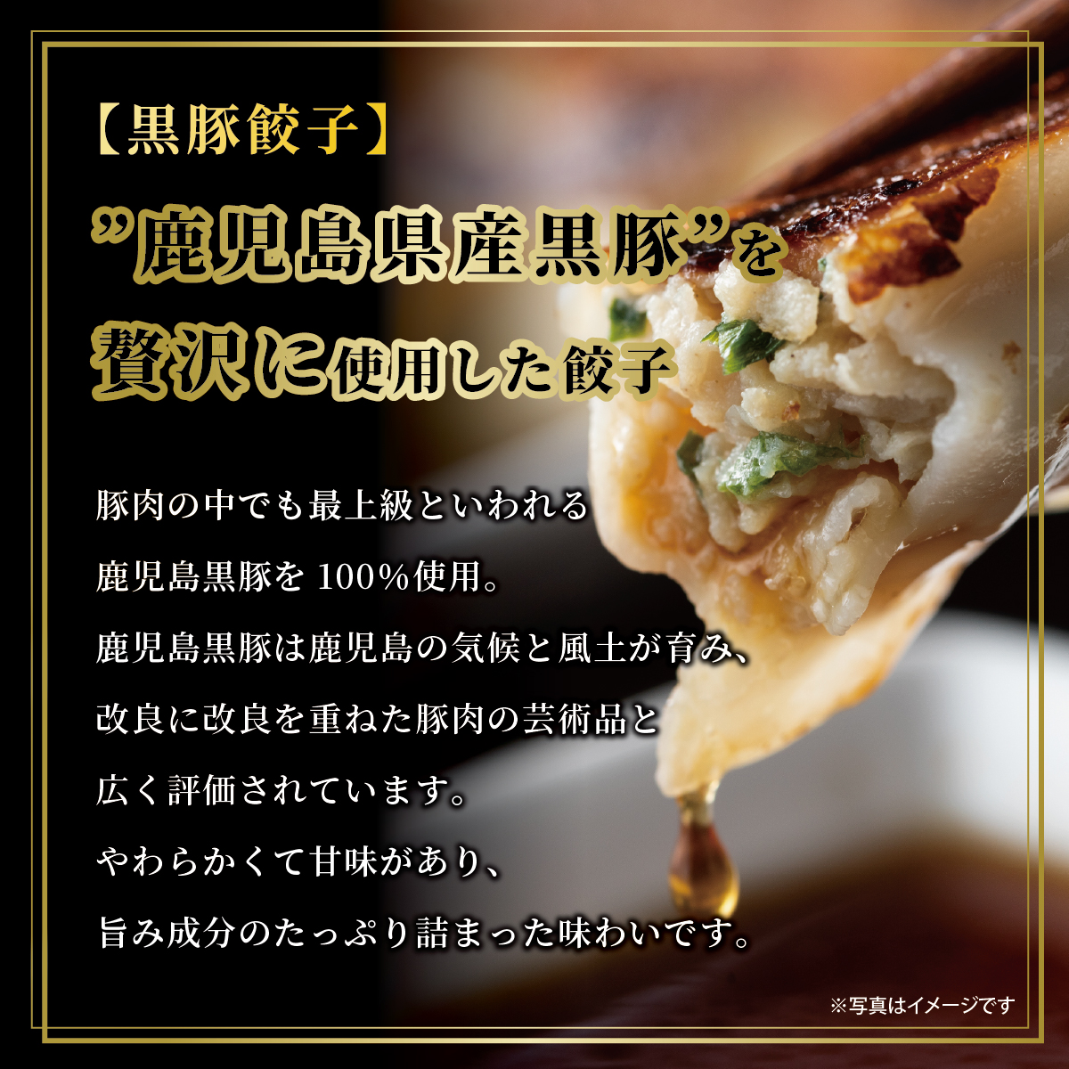 黒豚餃子・地鶏餃子 各1折セット：熨斗なし