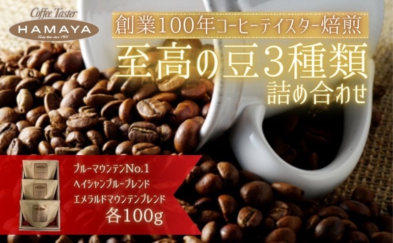 ハマヤコーヒーセット100BR