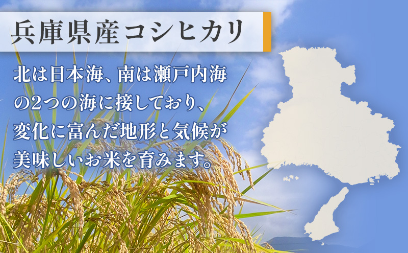 お米 令和7年産 兵庫県産コシヒカリ10kg(5kg×2) 米 お米 こめ コメ 白米 兵庫県 伊丹市 