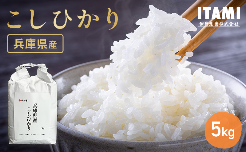 お米 令和7年産 兵庫県産コシヒカリ5kg 米 お米 こめ コメ 白米 兵庫県 伊丹市