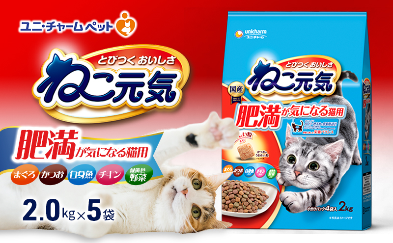 ねこ元気 肥満が気になる猫用 まぐろ・かつお・白身魚・チキン・緑黄色野菜入り 2.0kg×5袋 ペットフード キャットフード 猫のごはん 猫用フード 猫 ペット ドライ ユニ・チャーム ペット ユニ・ケアー