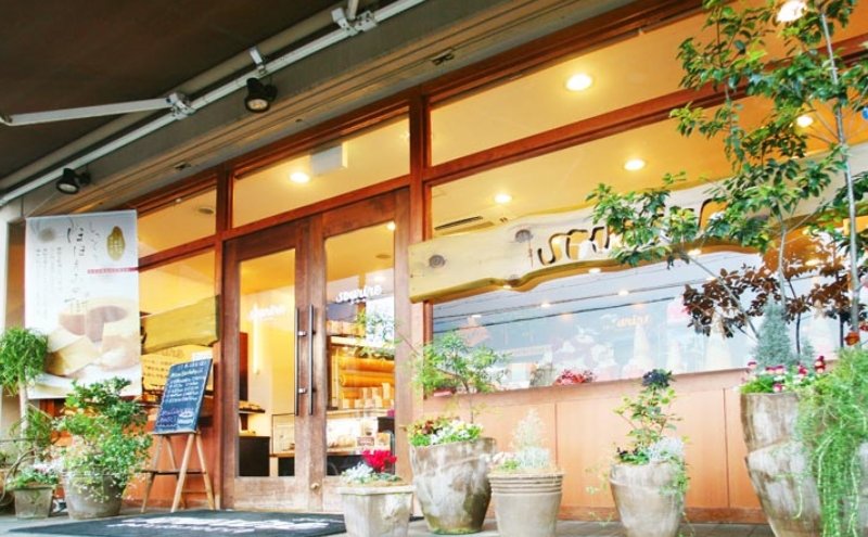 2種のバウムクーヘンと焼菓子のセット(中) ほほえみの樹 ガトーアムール 米粉 本醸造 特撰 白雪 使用 しっとり ソフトタイプ 伝統的 欧米風 ハードタイプ バームクーヘン 食べ比べ フィナンシェ クッキー お菓子 詰め合わせ 人気 スーリール