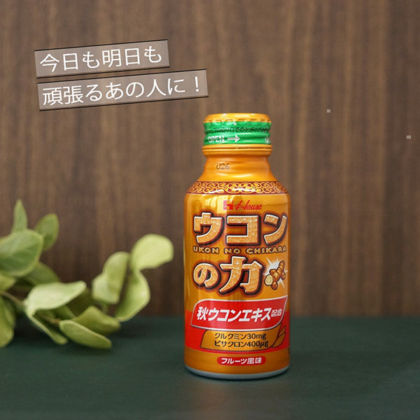 ハウスウェルネスフーズ ウコンの力 100ml 1セット（ 60缶 ）　飲料 ドリンク ウコンの力 ウコン ウコンエキスドリンク 飲み会 お酒 二日酔い 兵庫県 伊丹市