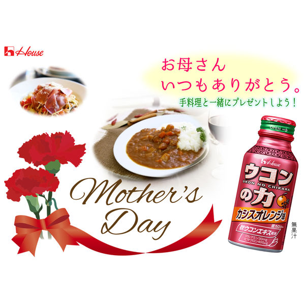 ハウスウェルネスフーズ　ウコンの力　カシスオレンジ味　2パック （ 12缶 ）　飲料 ドリンク ウコンの力 ウコン ウコンエキスドリンク 飲み会 お酒 二日酔い 兵庫県 伊丹市